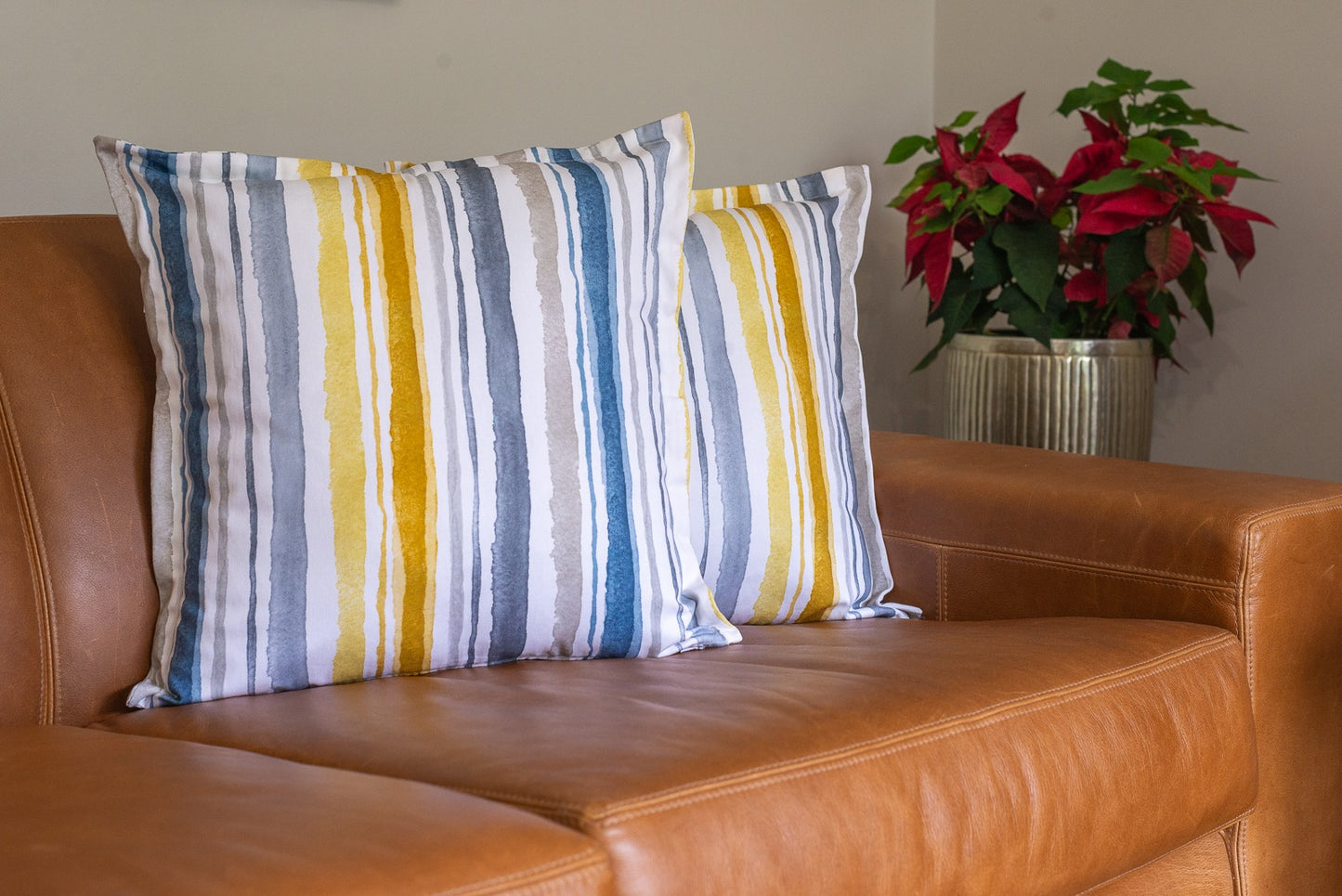 Scatter Cushion (55cm x 55cm)